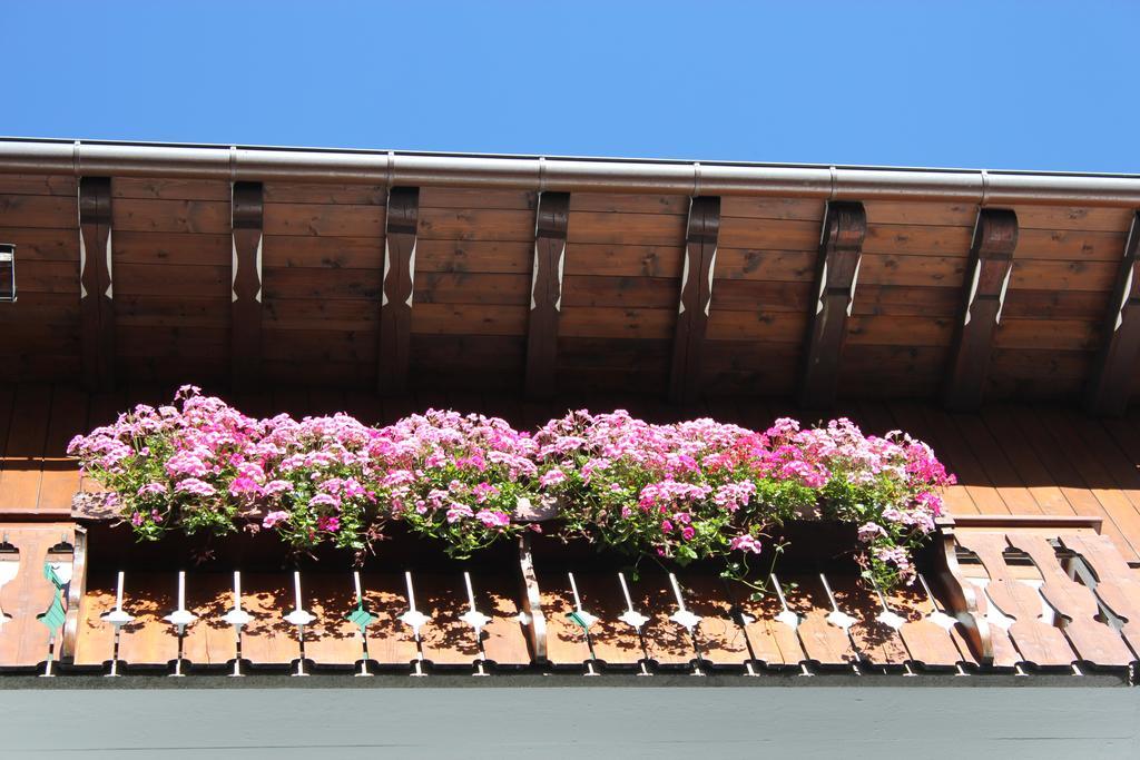 Hotel Montana Cortina d'Ampezzo Luaran gambar
